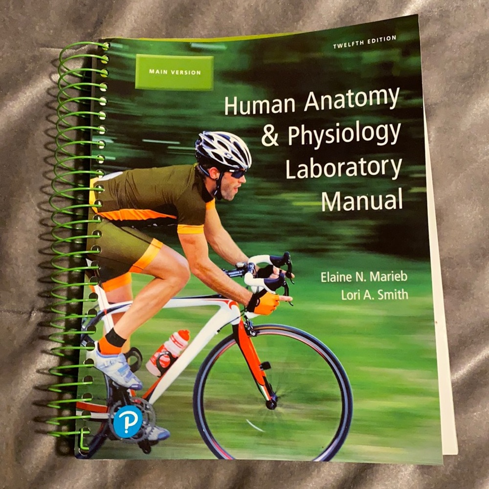 A+P book